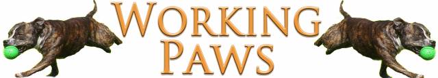Workingpaws.se